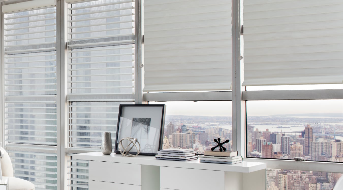 Sheer shades window treatments